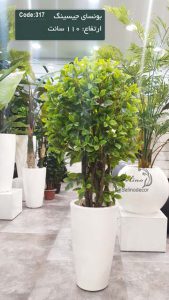 بونسای مصنوعی جیسینگ