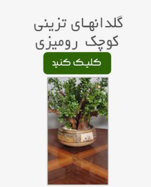 گلدانهای تزینی رو میزی