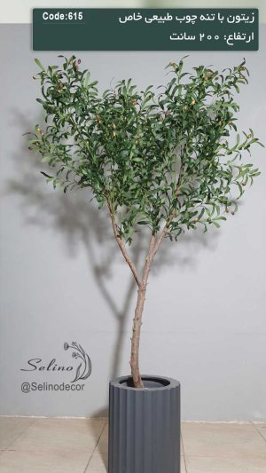 درختچه مصنوعی زیتون 200 سانت با تنه چوبی