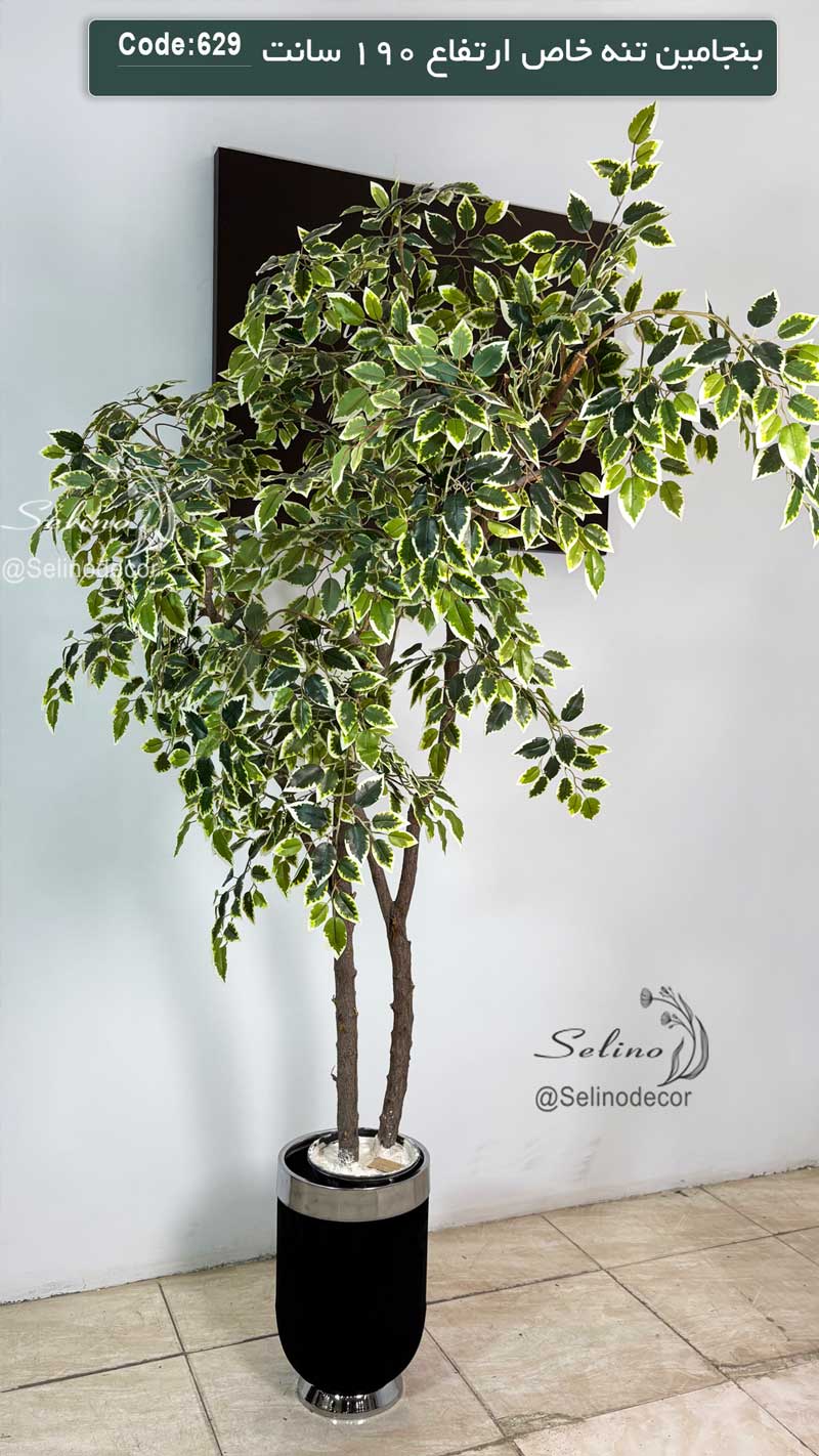 درختچه بنجامین ابلق مصنوعی 190 سانت با تنه چوب طبیعی