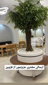 گل مصنوعی بنجامین 250 سانت