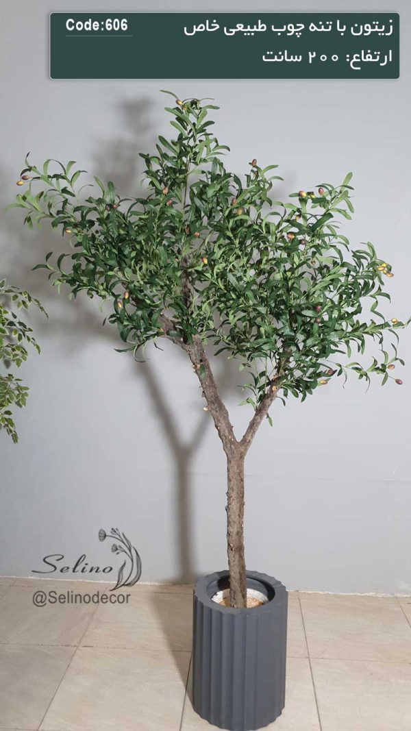 درختچه مصنوعی زیتون 200 سانت تنه چوبی - Image 3