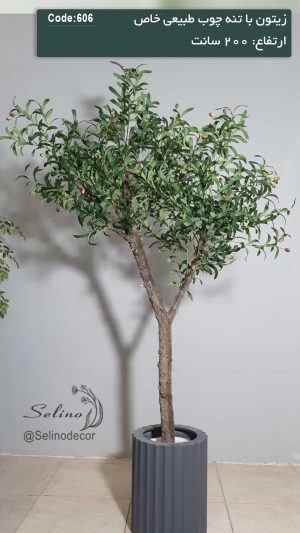 درختچه مصنوعی زیتون 200 سانت تنه چوبی