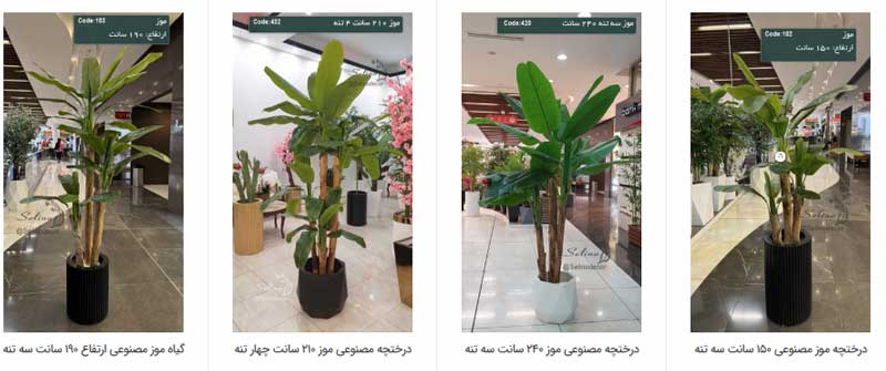 درختچه موز مصنوعی