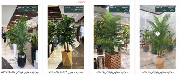 خرید درختچه کنتیا مصنوعی