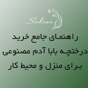 خرید درختچه بابا آدم مصنوعی | راهنمای کامل برای منزل و محیط کار | سلینو دکور