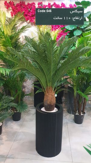 درختچه مصنوعی سیکاس