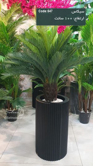 درختچه مصنوعی سیکاس