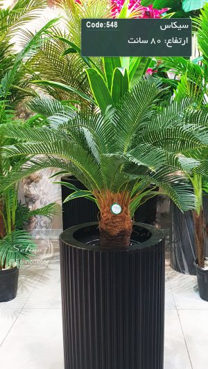 سیکاس مصنوعی