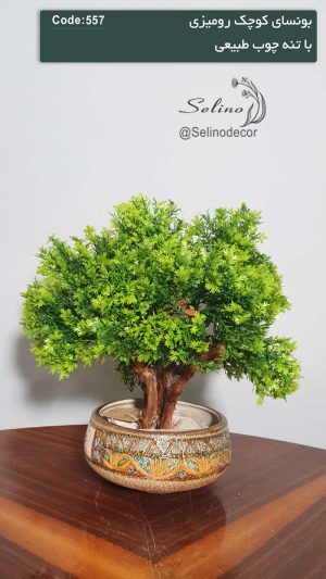 درختچه مصنوعی بن سای رومیزی