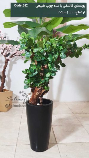 درختچه بونسای مصنوعی قاشقی 110سانت با تنه خاص