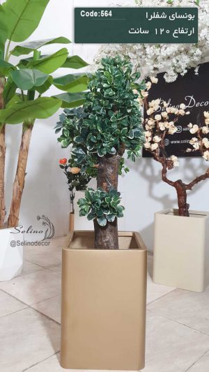 درختچه بونسای شفلرا مصنوعی 120سانت با تنه چوب طبیعی