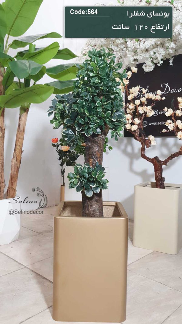 درختچه بونسای شفلرا مصنوعی 120سانت با تنه چوب طبیعی