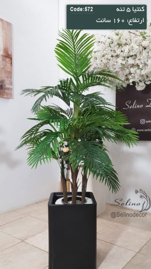 درختچه کنتیا مصنوعی 160 سانت 5 تنه