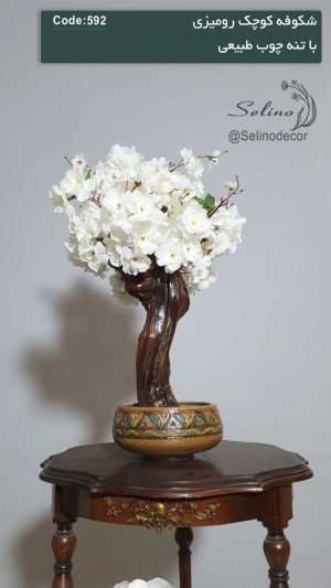 شکوفه کوچک رومیزی