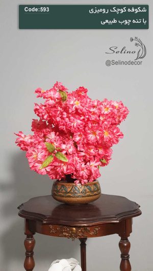 شکوفه کوچک رومیزی