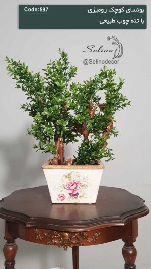 بونسای مصنوعی رومیزی