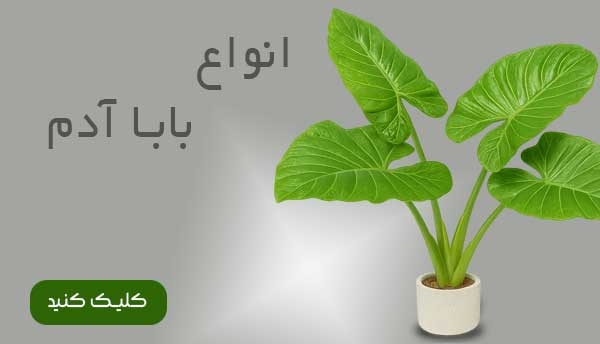 بابا آدم مصنوعی