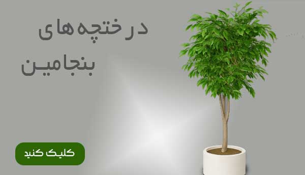بنجامین مصنوعی