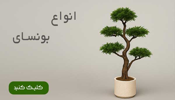 بونسای مصنوعی