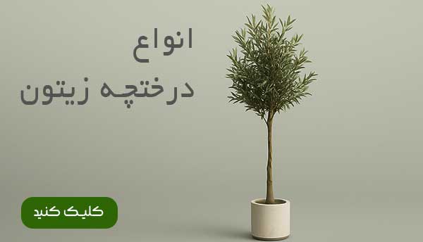 زیتون مصنوعی