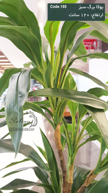 درختچه مصنوعی یوکا 120 سانت برگ سبز - Image 3