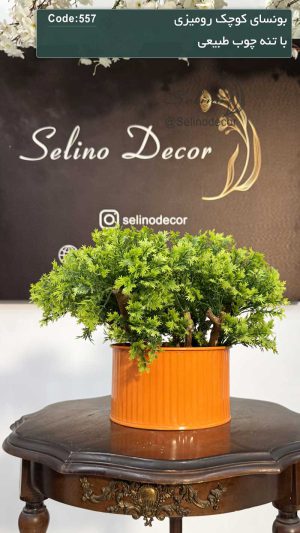 درختچه مصنوعی بن سای رومیزی