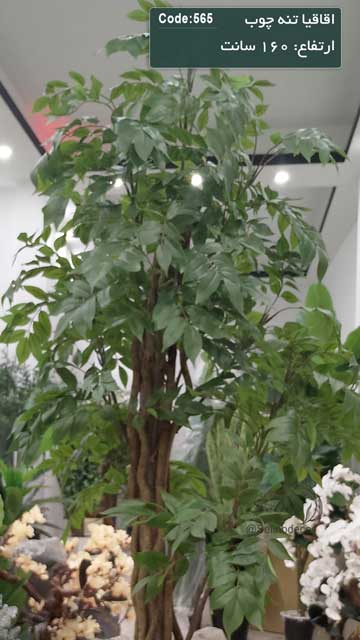 درختچه مصنوعی اقاقیا 160 سانت با تنه چوب طبعی - Image 3