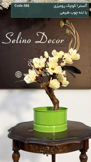 آلسترا مصنوعی رومیزی