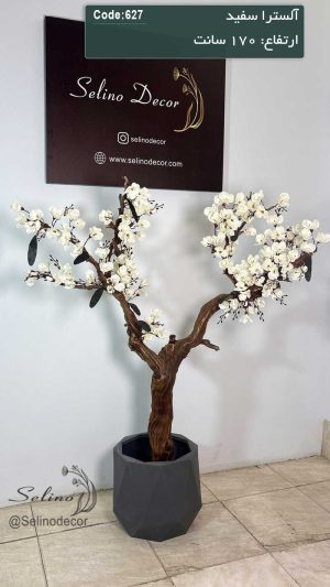 درختچه مصنوعی آلسترا 170 سانت با تنه چوب خاص