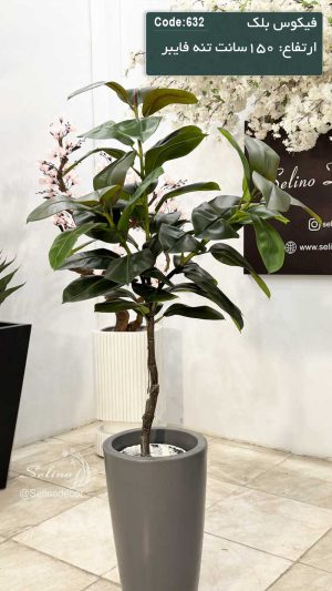 درختچه فیکوس بلک مصنوعی 150 سانت تنه فایبر