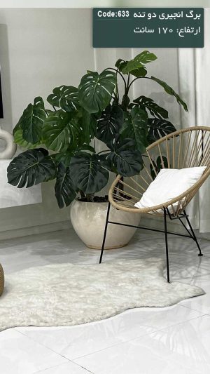گیاه برگ انجیری مصنوعی 170 سانت 4 تنه