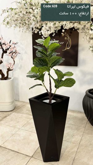 درختچه مصنوعی فیکوس لیراتا 100 سانت تنه فایبر