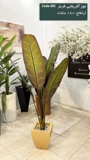 درختچه موز آفریقایی مصنوعی 180سانت