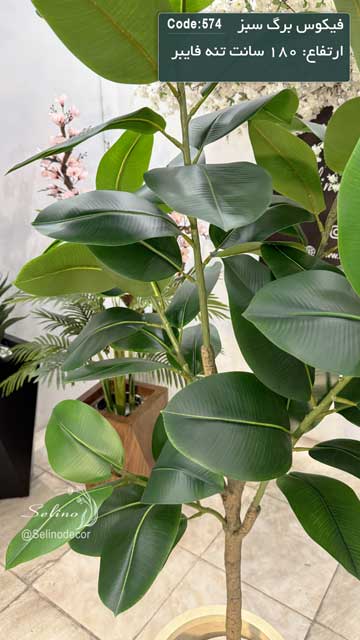 درختچه مصنوعی فیکوس برگ سبز 180 سانت تنه فایبر - Image 4