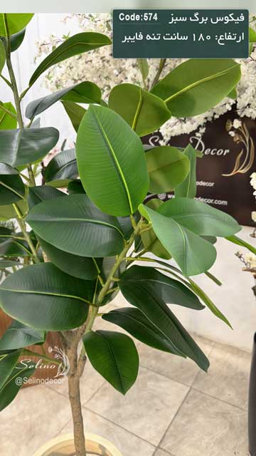 درختچه مصنوعی فیکوس برگ سبز 180 سانت تنه فایبر - Image 3