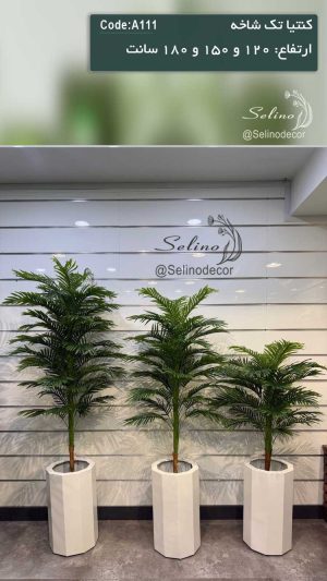 درختچه مصنوعی کنتیا تک شاخه در سه سایز