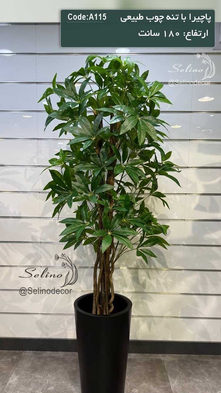 درختچه مصنوعی پاچیرا 180سانت تنه چوبی